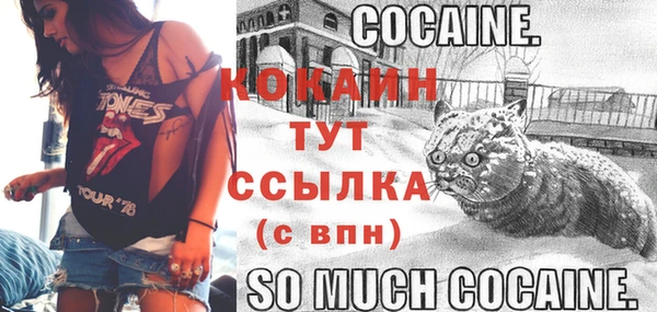 прущий лед Алзамай